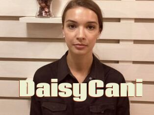 DaisyCani