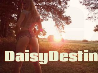 DaisyDestin