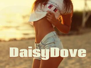 DaisyDove