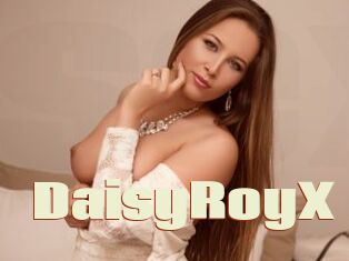 DaisyRoyX