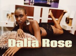 Dalia_Rose