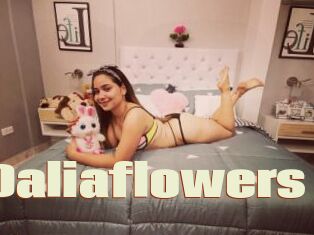 Daliaflowers