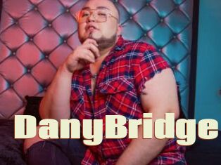 DanyBridge