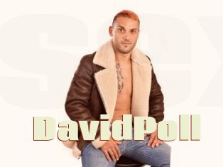 DavidPoll