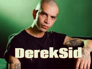 DerekSid