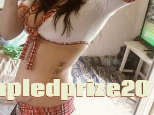 Dimpledprize20