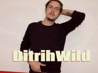 DitrihWild