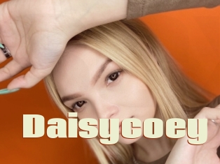 Daisycoey