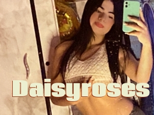 Daisyroses