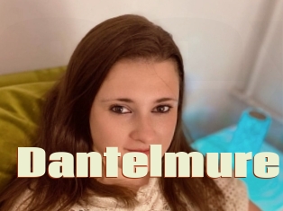 Dantelmure