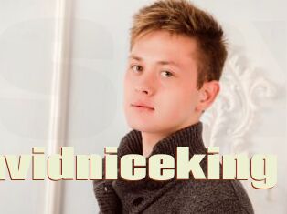 Davidniceking