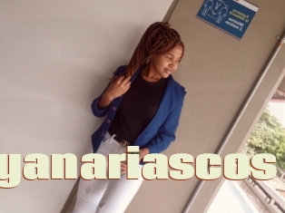 Dayanariascos