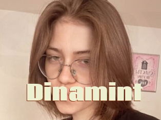 Dinamint