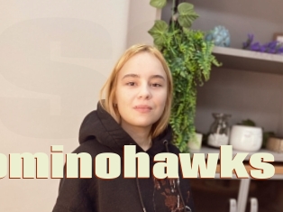 Dominohawks