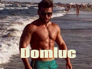 Domluc