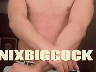 ENIXBIGCOCK