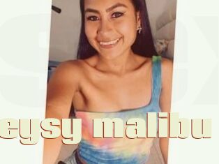 Esteysy_malibu