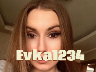 Evka1234