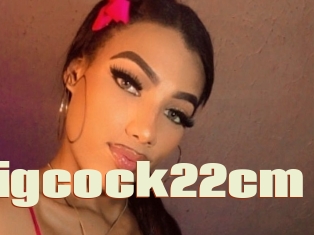 Ebonybiigcock22cm