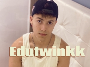 Edutwinkk