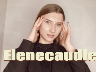 Elenecaudle