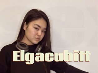 Elgacubitt