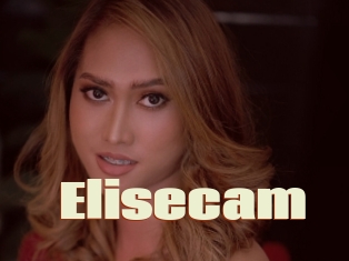 Elisecam