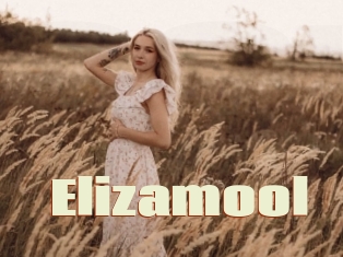 Elizamool