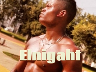 Elnigaht