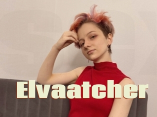 Elvaatcher