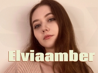 Elviaamber