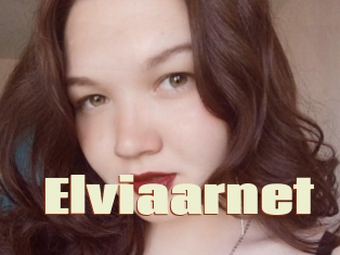 Elviaarnet