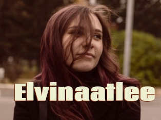 Elvinaatlee