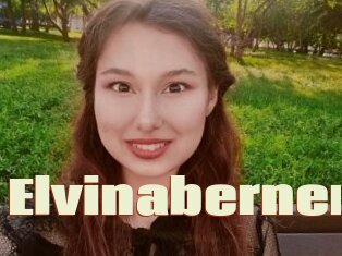 Elvinaberner