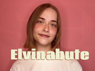 Elvinabute