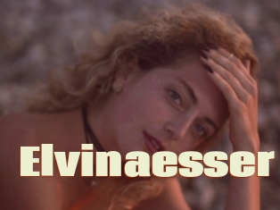 Elvinaesser