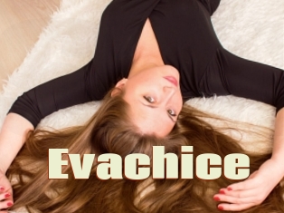 Evachice