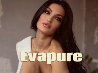 Evapure