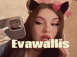 Evawallis