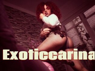 Exoticcarina