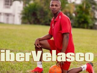 FaiberVelasco