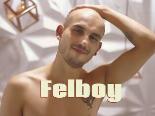 Felboy