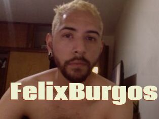 FelixBurgos