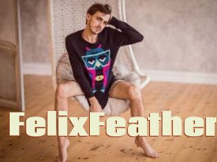 FelixFeather