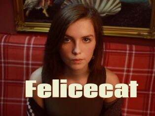 Felicecat