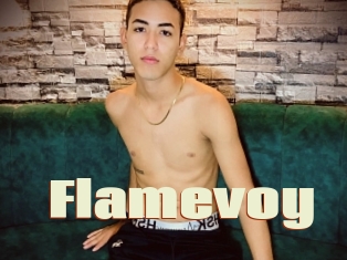 Flamevoy