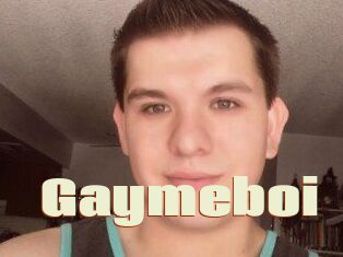 Gaymeboi