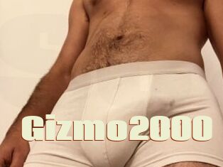 Gizmo2000