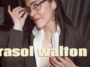 Girasol_walton