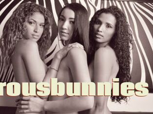 Glamurousbunnies